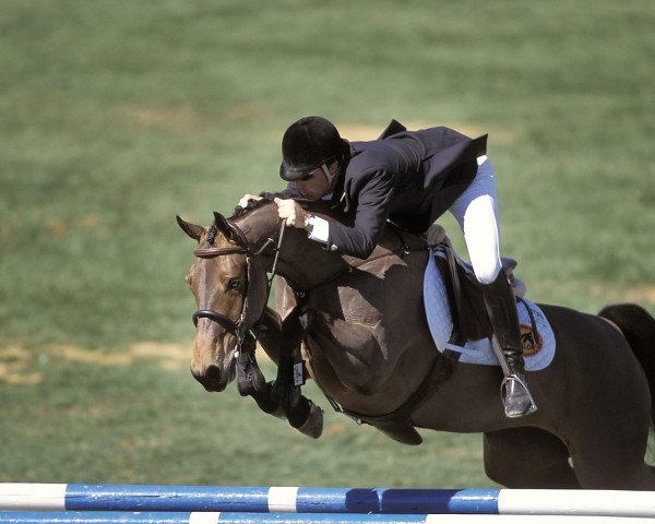 broodmare Lucky Punch-W (Danish Warmblood, 1989, from Lucky Light)