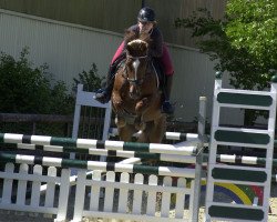 jumper Tamano (German Riding Pony, 2002, from Thronfolger)
