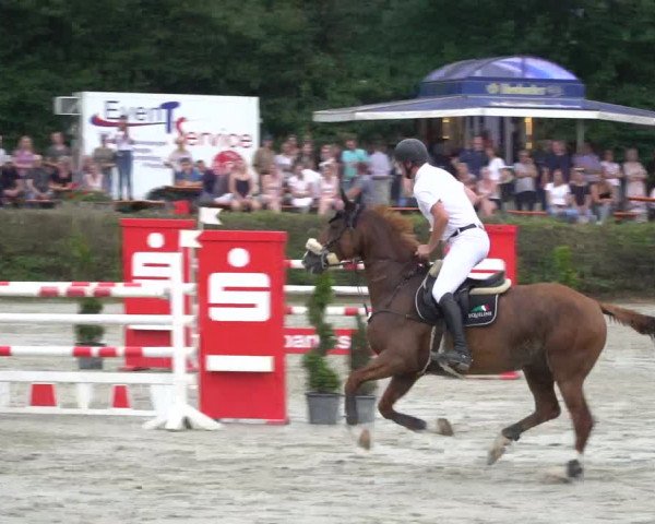 Reitturnier Vlotho-Exter 2021