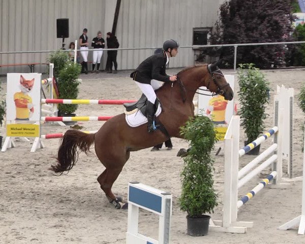 Reitturnier Ehningen 2021