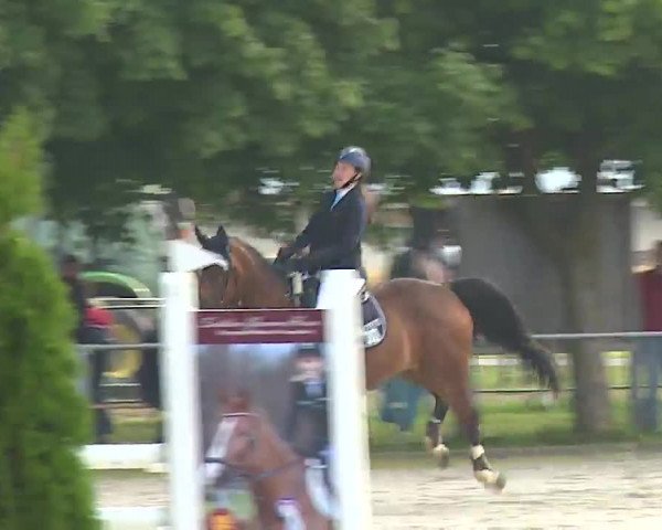 Reitturnier Rot am See – Musdorf 2021