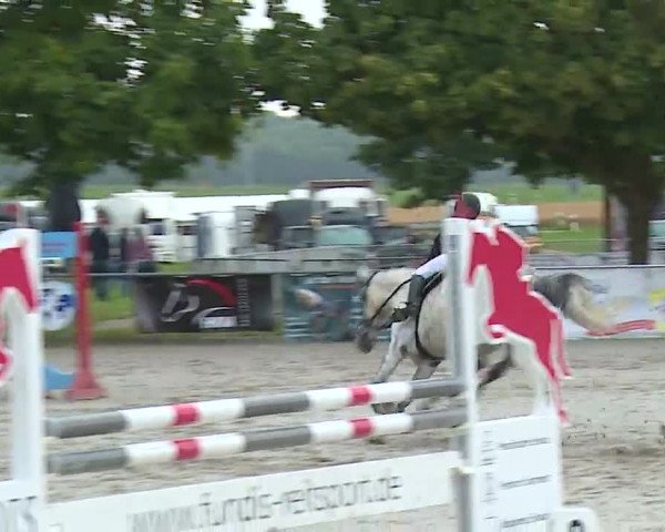 Reitturnier Rot am See – Musdorf 2021