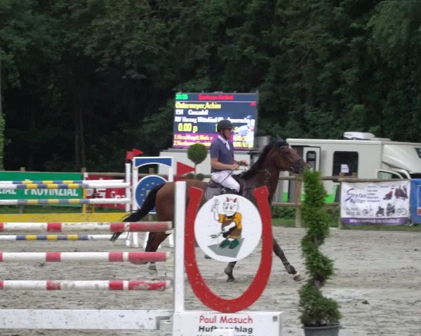 Reitturnier Vlotho-Exter 2021