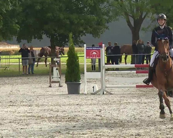 Reitturnier Rot am See – Musdorf 2021