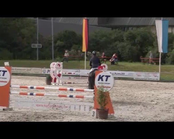 Reitturnier Grafenrheinfeld/Ufr. 2021