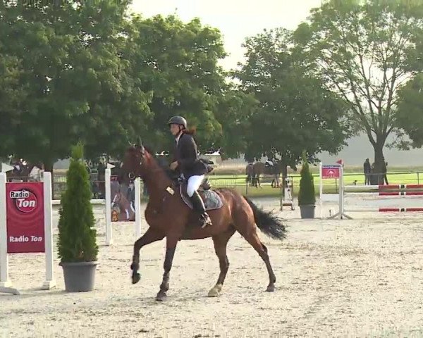 Reitturnier Rot am See – Musdorf 2021