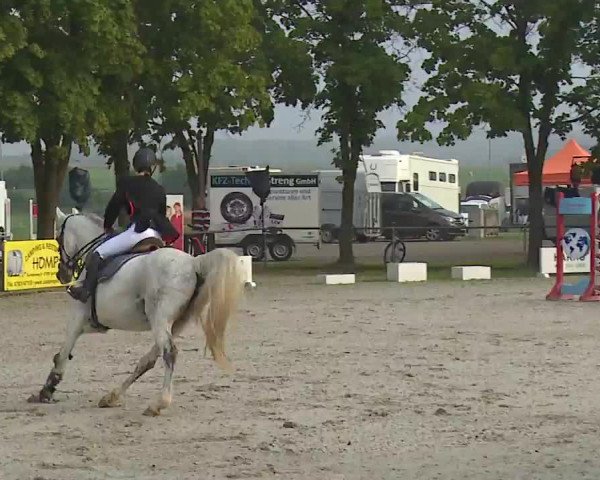 Reitturnier Rot am See – Musdorf 2021