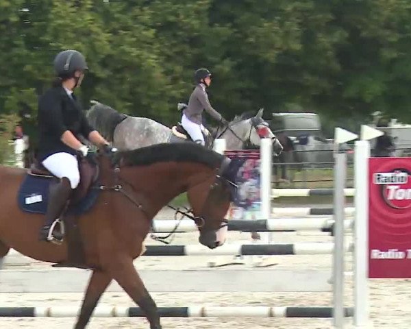 Reitturnier Rot am See – Musdorf 2021