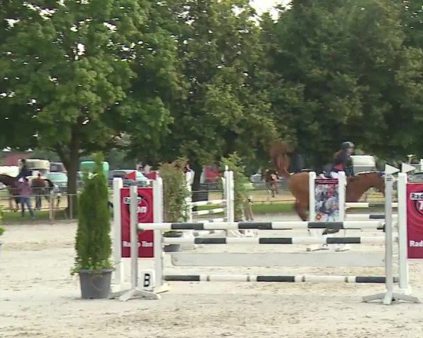 Reitturnier Rot am See – Musdorf 2021