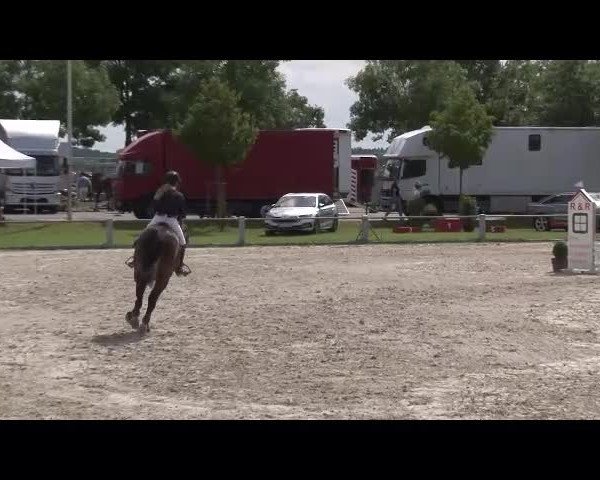 Reitturnier Grafenrheinfeld/Ufr. 2021