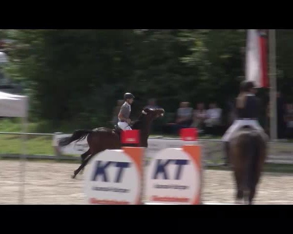 Reitturnier Grafenrheinfeld/Ufr. 2021