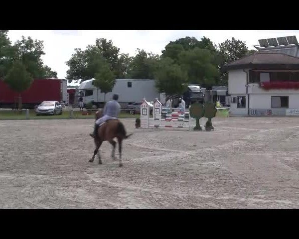 Reitturnier Grafenrheinfeld/Ufr. 2021