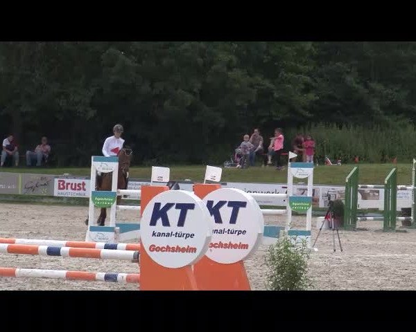 Reitturnier Grafenrheinfeld/Ufr. 2021