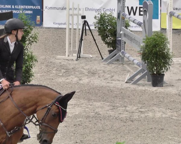 Reitturnier Ehningen 2021