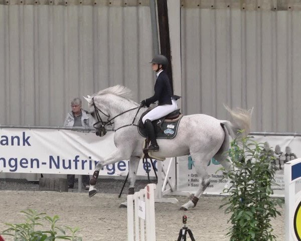 Reitturnier Ehningen 2021