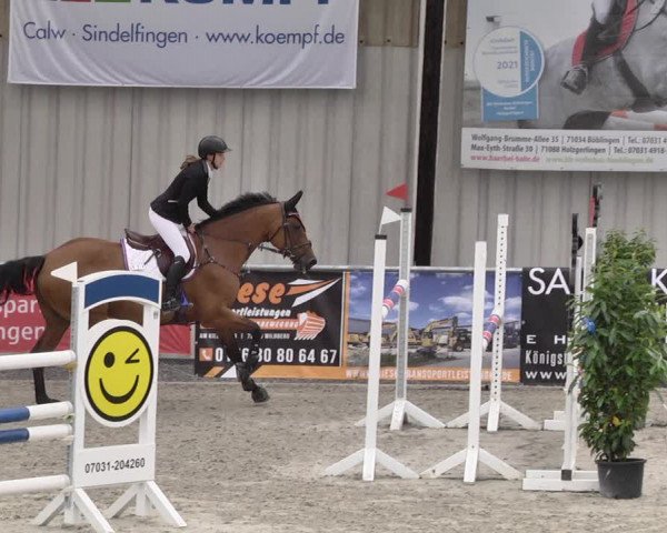 Reitturnier Ehningen 2021