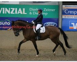 dressage horse Flum 2 (Westphalian, 2003, from Florestan I)
