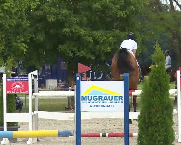 Reitturnier Rot am See – Musdorf 2021