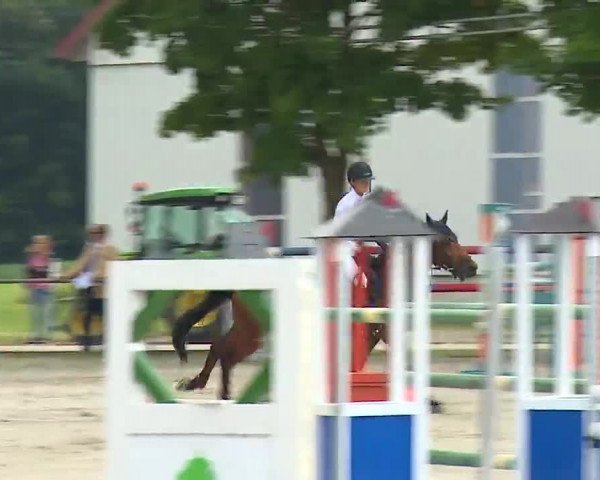 Reitturnier Rot am See – Musdorf 2021