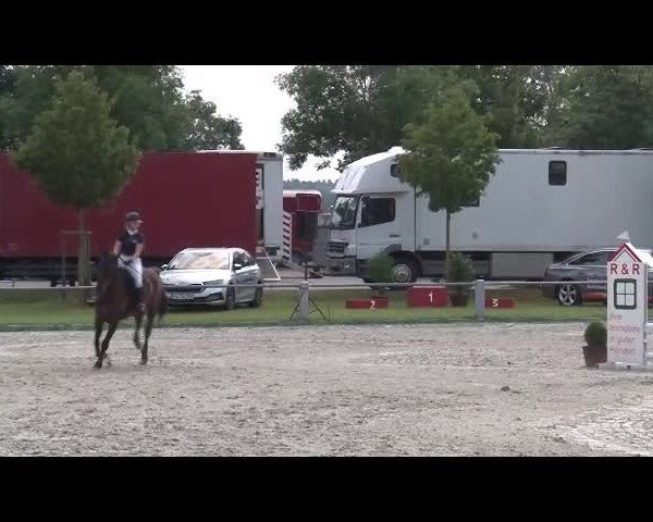 Reitturnier Grafenrheinfeld/Ufr. 2021