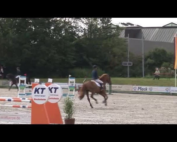 Reitturnier Grafenrheinfeld/Ufr. 2021