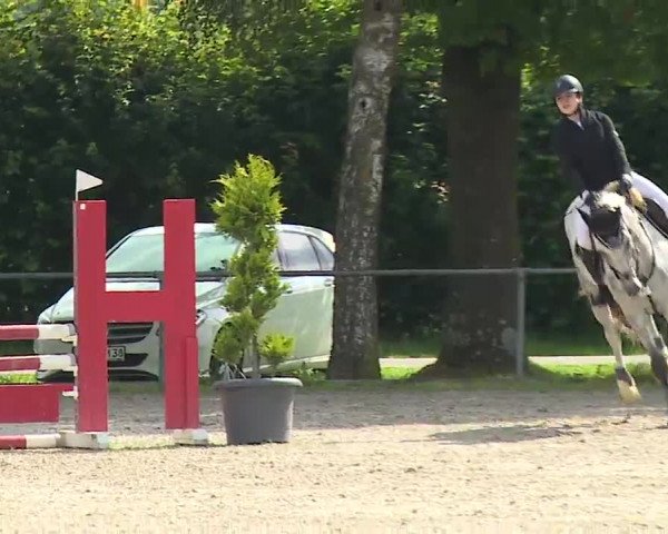 Reitturnier Rot am See – Musdorf 2021