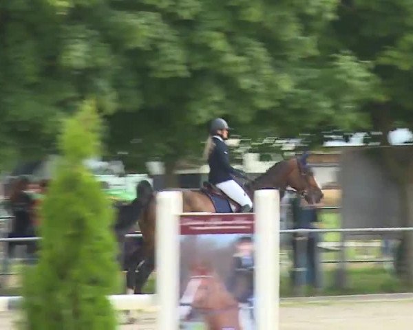 Reitturnier Rot am See – Musdorf 2021