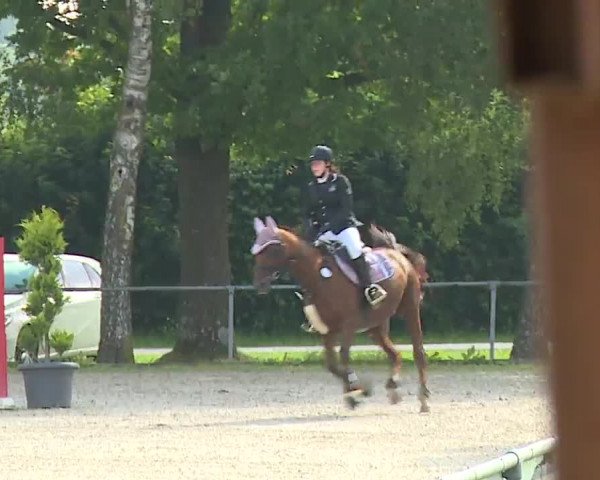 Reitturnier Rot am See – Musdorf 2021