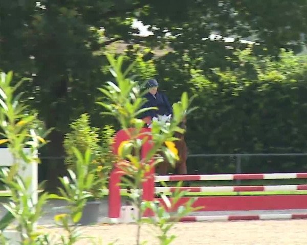 Reitturnier Rot am See – Musdorf 2021