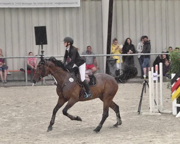 Reitturnier Ehningen 2021