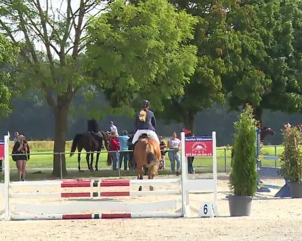 Reitturnier Rot am See – Musdorf 2021