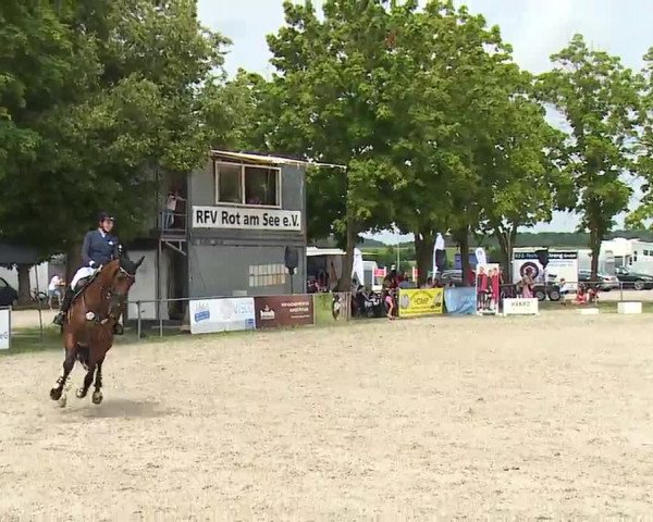 Reitturnier Rot am See – Musdorf 2021