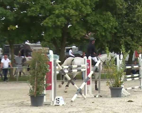 Reitturnier Rot am See – Musdorf 2021
