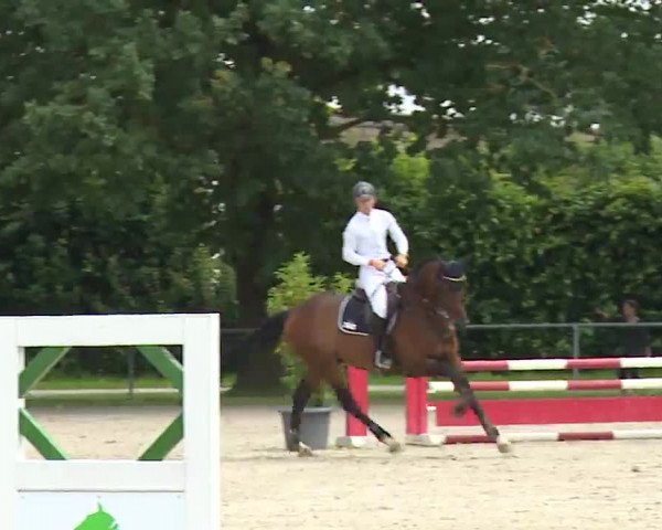 Reitturnier Rot am See – Musdorf 2021