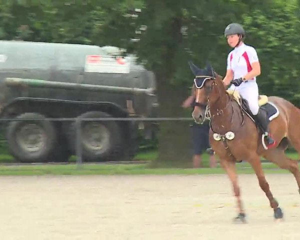 Reitturnier Rot am See – Musdorf 2021