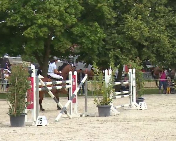 Reitturnier Rot am See – Musdorf 2021