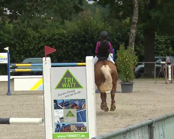 Reitturnier Rot am See – Musdorf 2021