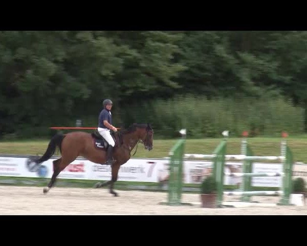 Reitturnier Grafenrheinfeld/Ufr. 2021