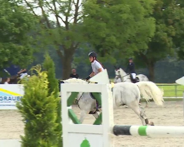 Reitturnier Rot am See – Musdorf 2021