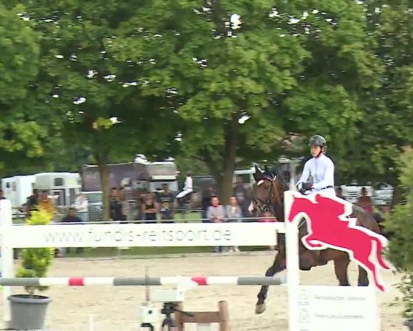 Reitturnier Rot am See – Musdorf 2021