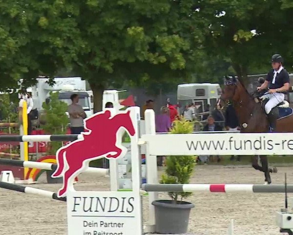 Reitturnier Rot am See – Musdorf 2021