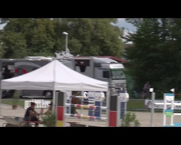Reitturnier Grafenrheinfeld/Ufr. 2021