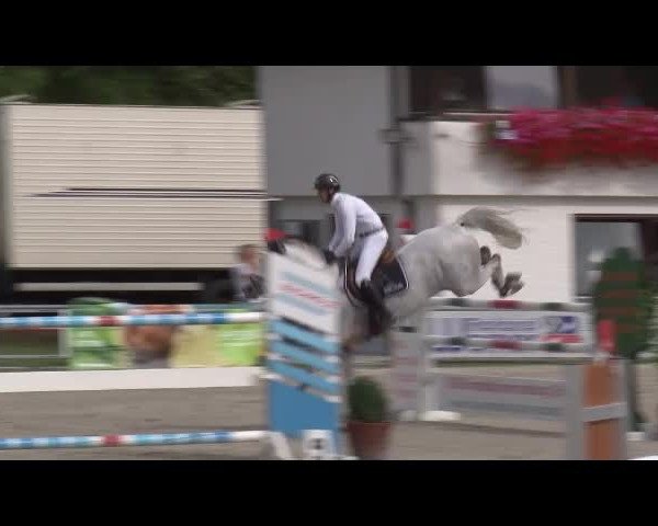 Reitturnier Grafenrheinfeld/Ufr. 2021
