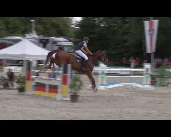 Reitturnier Grafenrheinfeld/Ufr. 2021