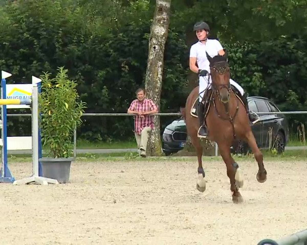 Reitturnier Rot am See – Musdorf 2021