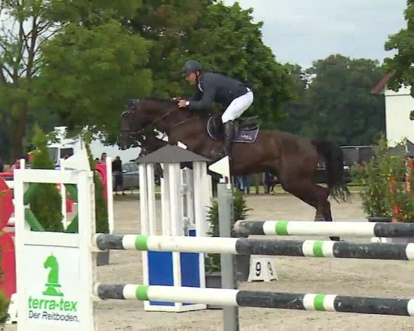 Reitturnier Rot am See – Musdorf 2021