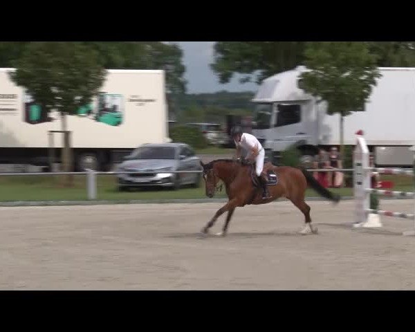 Reitturnier Grafenrheinfeld/Ufr. 2021