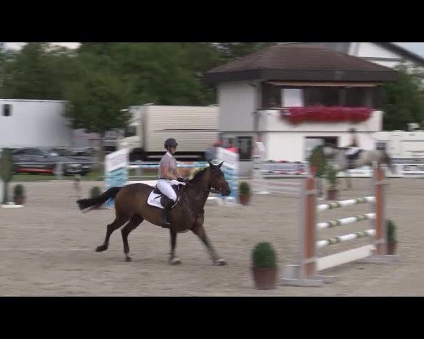 Reitturnier Grafenrheinfeld/Ufr. 2021
