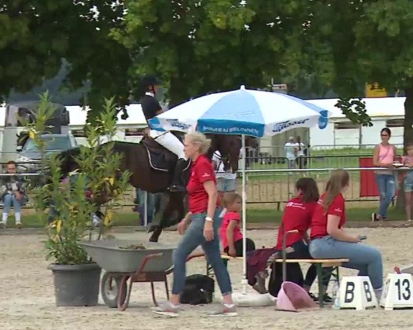 Reitturnier Rot am See – Musdorf 2021