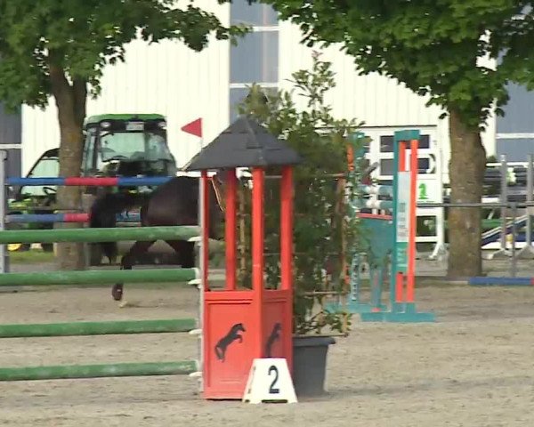 Reitturnier Rot am See – Musdorf 2021